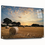 Acrylic glass wall art showcasing a serene countryside landscape with vibrant green fields and a clear blue sky, elegantly mounted with pins for display.