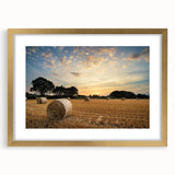Framed wall art showcasing a serene countryside landscape design with a gold mat, perfect for enhancing home decor and adding a touch of elegance. The piece features vibrant colors that evoke tranquility and nature's beauty, ideal for living rooms or offices.