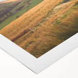 Rolled canvas artwork showcasing a serene countryside landscape with vibrant green fields, rolling hills, and a clear blue sky, perfect for home decor.