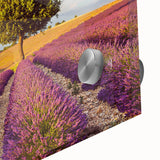 Close-up of a vibrant acrylic glass wall art collection depicting serene countryside landscapes, showcasing lush greenery and tranquil skies, ideal for home decor.