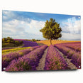 Acrylic glass wall art collection showcasing a serene countryside landscape design in a side view, elegantly mounted with pins for display. Ideal for home decor.