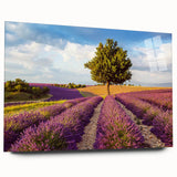 Acrylic glass wall art collection showcasing a vibrant countryside landscape design, featuring lush green fields and a serene sky, displayed from a side view without pins.
