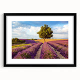 Framed wall art collection showcasing serene countryside landscapes, featuring a black frame and matting, perfect for enhancing home decor with nature-inspired elegance.