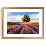 Framed wall art collection depicting serene countryside landscapes in gold-finished frame with mat, perfect for enhancing home decor and creating a calming atmosphere.