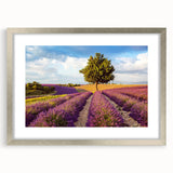 Framed wall art collection showcasing serene countryside landscapes, featuring silver matting and a sleek frame, perfect for enhancing home decor.