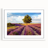 Framed wall art collection showcasing serene countryside landscapes with white matting, perfect for home decor. Ideal for nature lovers and interior design enthusiasts.