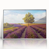 Framed acrylic wall art collection showcasing serene countryside landscapes, featuring vibrant colors and intricate details, set against a sleek white frame.