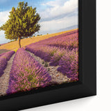 Framed canvas wall art collection featuring serene countryside landscapes, showcasing vibrant colors and intricate details in a close-up view, perfect for home decor.