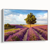 Framed canvas wall art collection showcasing serene countryside landscapes, featuring vibrant green fields and rolling hills, presented from a side view against a white background. Perfect for home decor enthusiasts seeking nature-inspired designs.