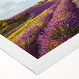 Vibrant rolled canvas wall art showcasing a serene countryside landscape with rolling hills, lush greenery, and a clear blue sky, perfect for home decor.