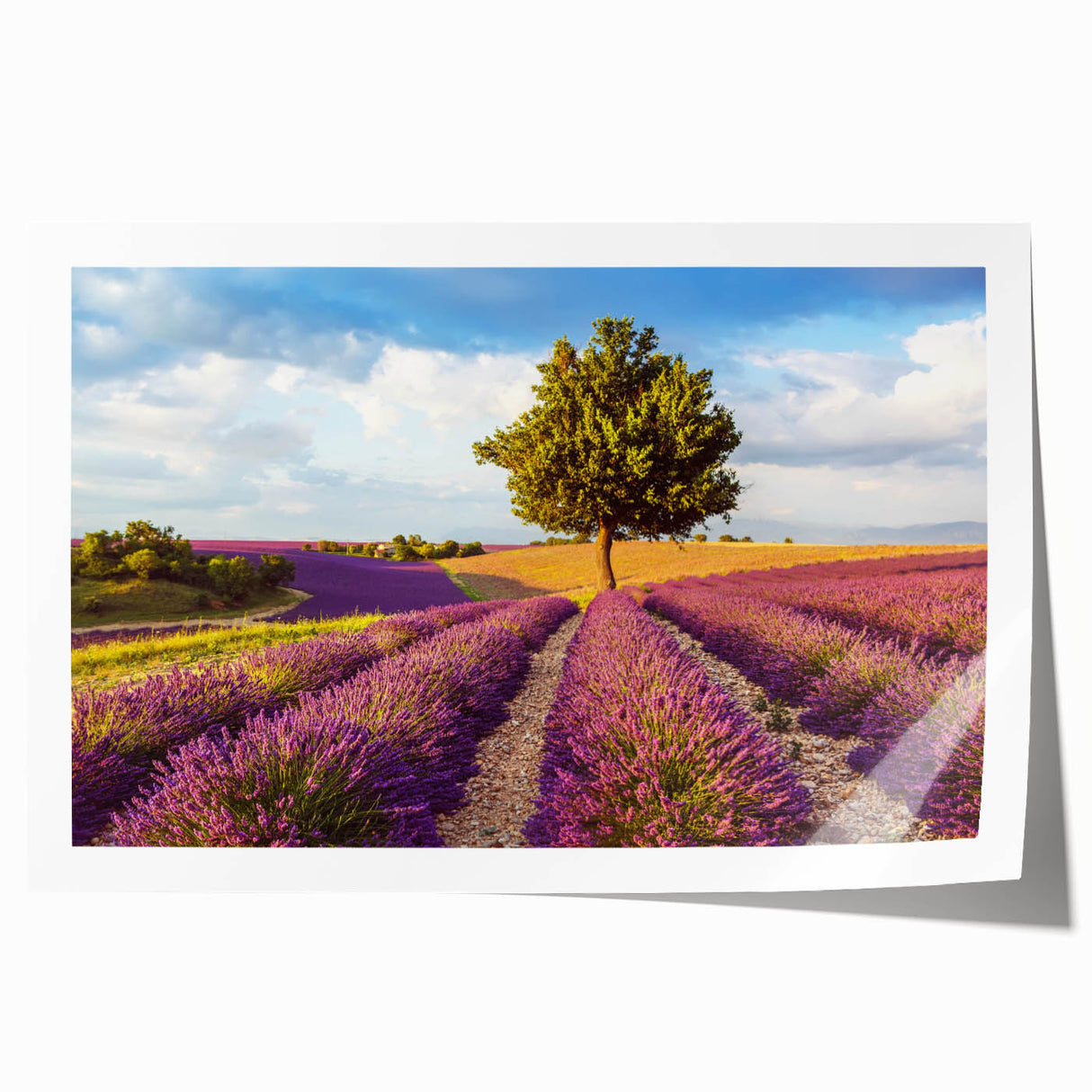 Vibrant landscape wall art print showcasing a serene countryside scene with rolling hills and a blue sky, rolled and ready for framing, perfect for home decor.