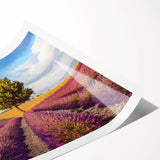 Elegant rolled print of a tranquil countryside landscape featuring vibrant green fields and a serene blue sky, designed for wall art display and interior decoration.