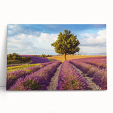 Stretched canvas artwork showcasing a serene countryside landscape design, featuring rolling hills and vibrant greenery, ideal for home decor enhancement.