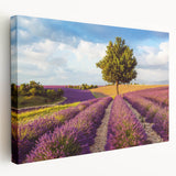 Stretched canvas wall art depicting a serene country landscape with rolling hills, vibrant greenery, and a tranquil sky, perfect for home decor.
