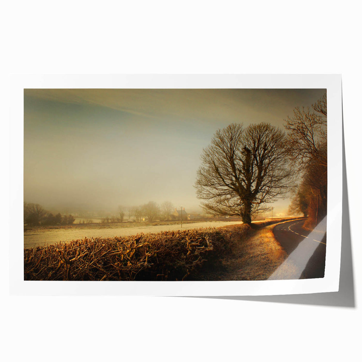 Vibrant rolled canvas print showcasing a serene countryside landscape design, featuring lush green fields, rolling hills, and a tranquil sky, perfect for home decor.