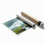 Scenic countryside wall art print showcasing rolling hills and vibrant greenery, rolled for easy transport and display, perfect for home decor enthusiasts.