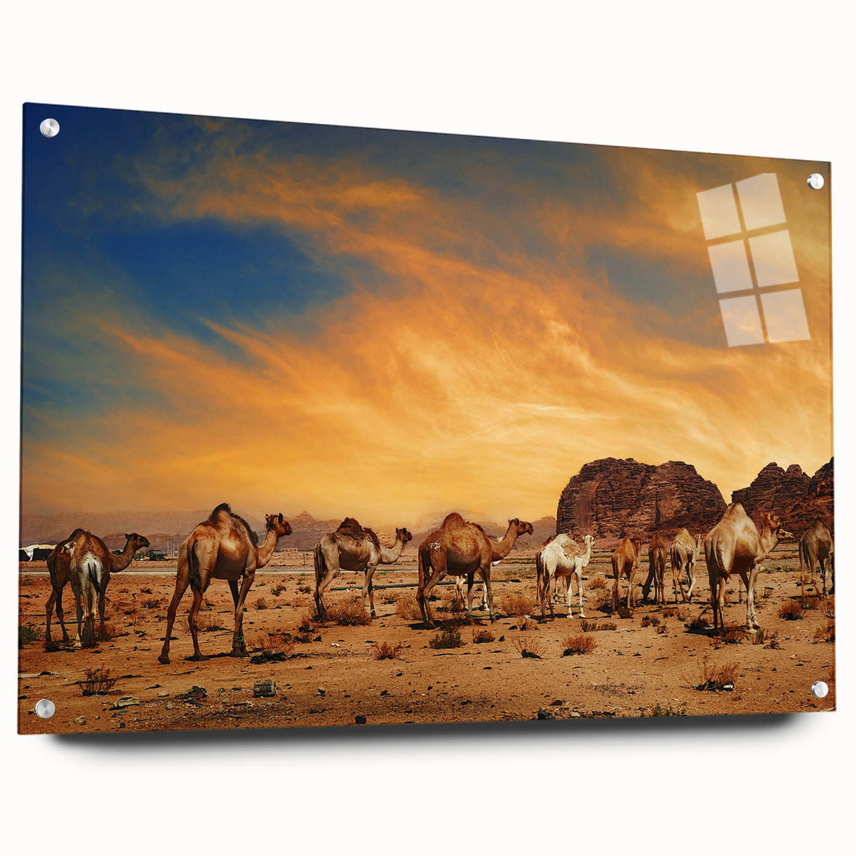 Acrylic glass wall art showcasing a stunning desert landscape design, displayed from the side with decorative pins. Perfect for modern home decor enthusiasts.