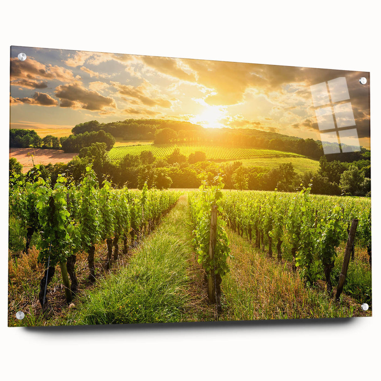 Acrylic glass wall art featuring a vibrant desert landscape design, showcasing warm tones of orange and yellow, elegantly displayed with pins on a neutral background. Ideal for enhancing modern home decor.