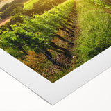 Desert landscape wall art on rolled canvas showcasing warm hues and intricate details, ideal for home decor, packaged in a protective cardboard tube.