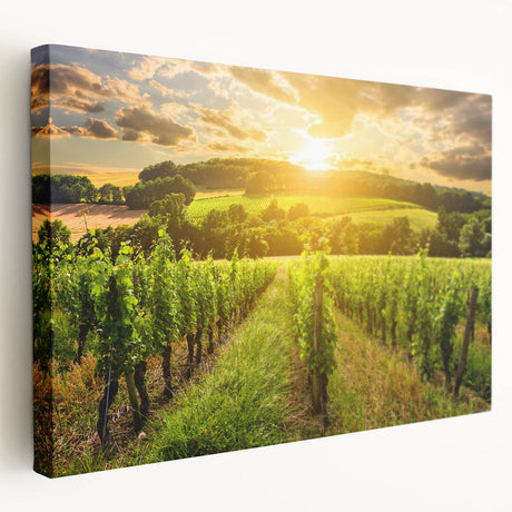 Stretched canvas artwork showcasing a vibrant desert landscape design, featuring warm earthy tones and intricate details, perfect for modern home decor.