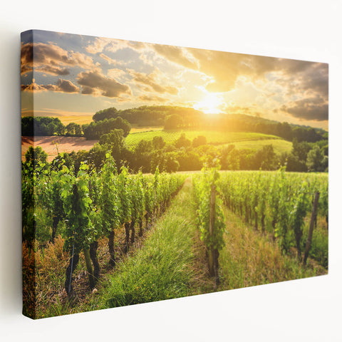 Stretched canvas artwork showcasing a vibrant desert landscape design, featuring warm earthy tones and intricate details, perfect for modern home decor.