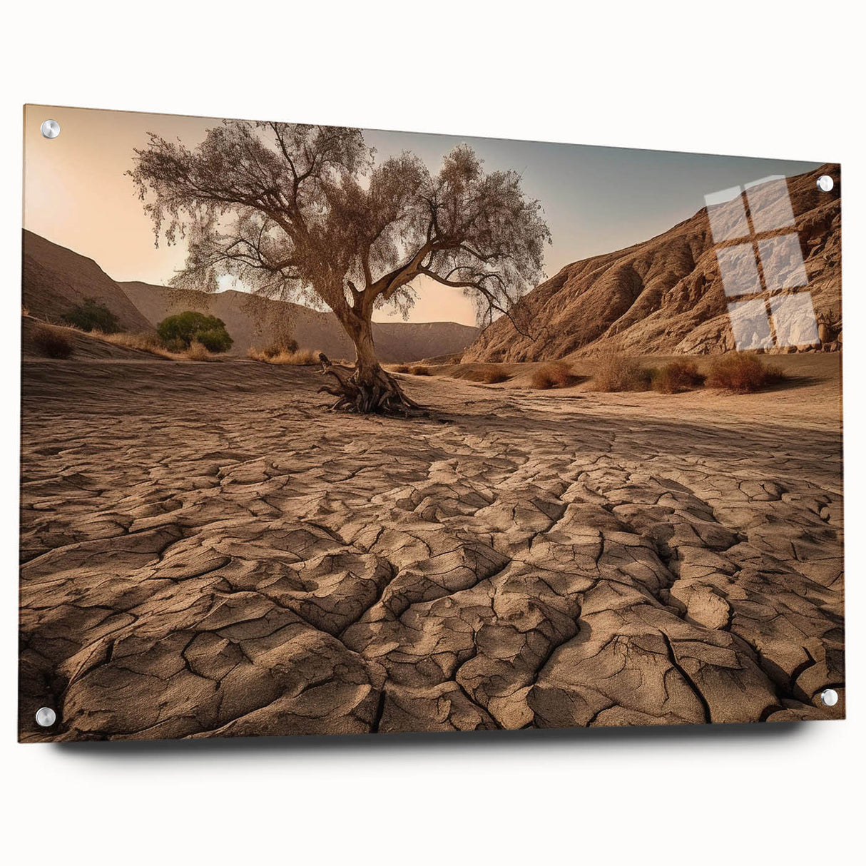 Acrylic glass wall art showcasing a stunning desert landscape design, displayed in a side view with decorative pins. The vibrant colors and intricate details bring a modern touch to any space.