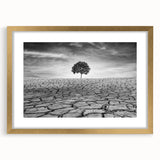 Gold-framed wall art collection featuring a stunning desert landscape design, showcasing warm earthy tones and intricate details, perfect for home decor.