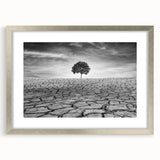 Framed desert landscape wall art collection featuring a silver mat and sleek design, ideal for modern home decor and enhancing interior aesthetics.