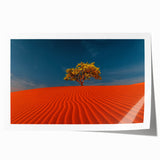 Rolled print showcasing a serene desert landscape with golden sand dunes under a vibrant sunset, ideal for home decor or wall art collection.