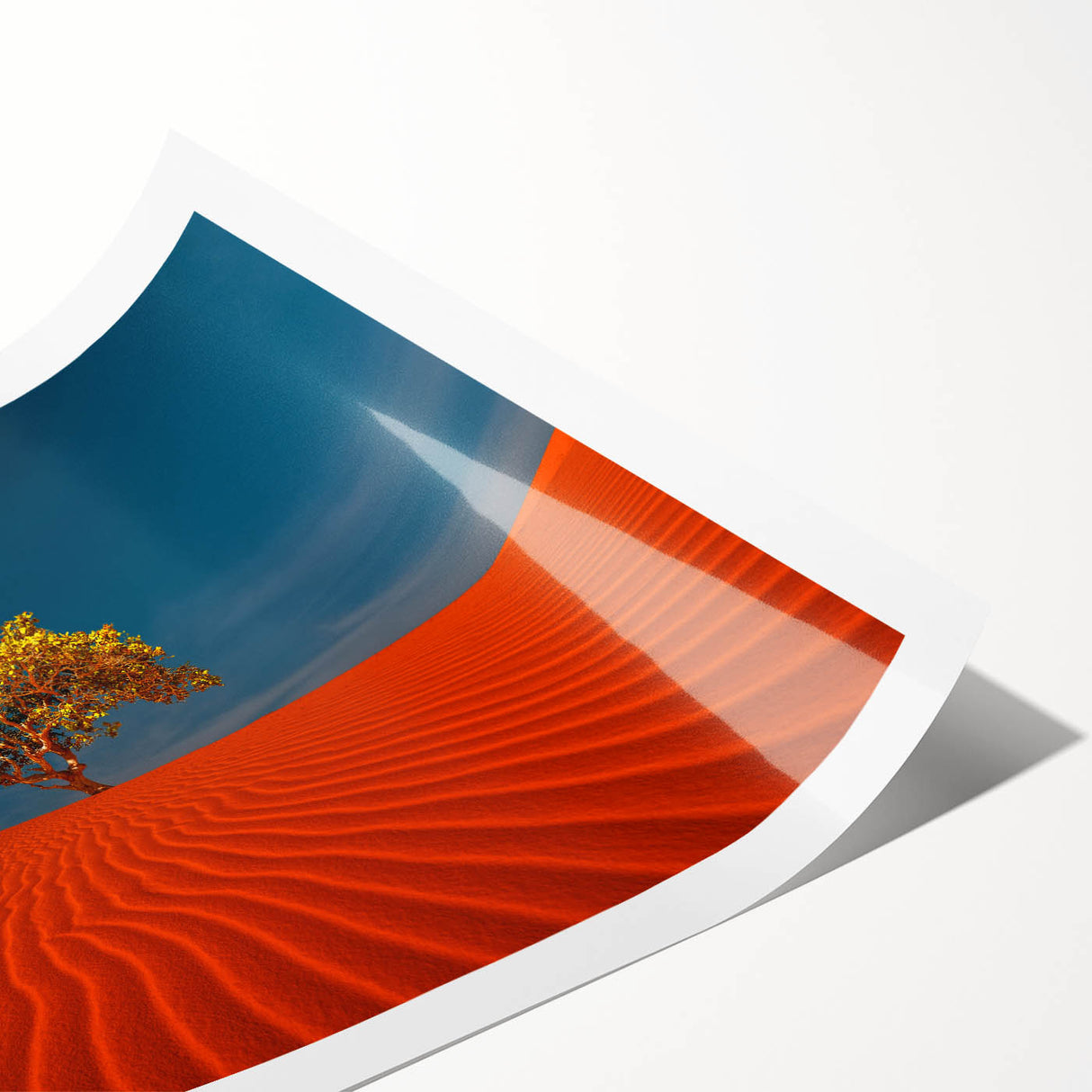 Desert landscape wall art print showcasing undulating sand dunes in warm beige and golden tones, rolled and ready for framing, perfect for enhancing home decor.