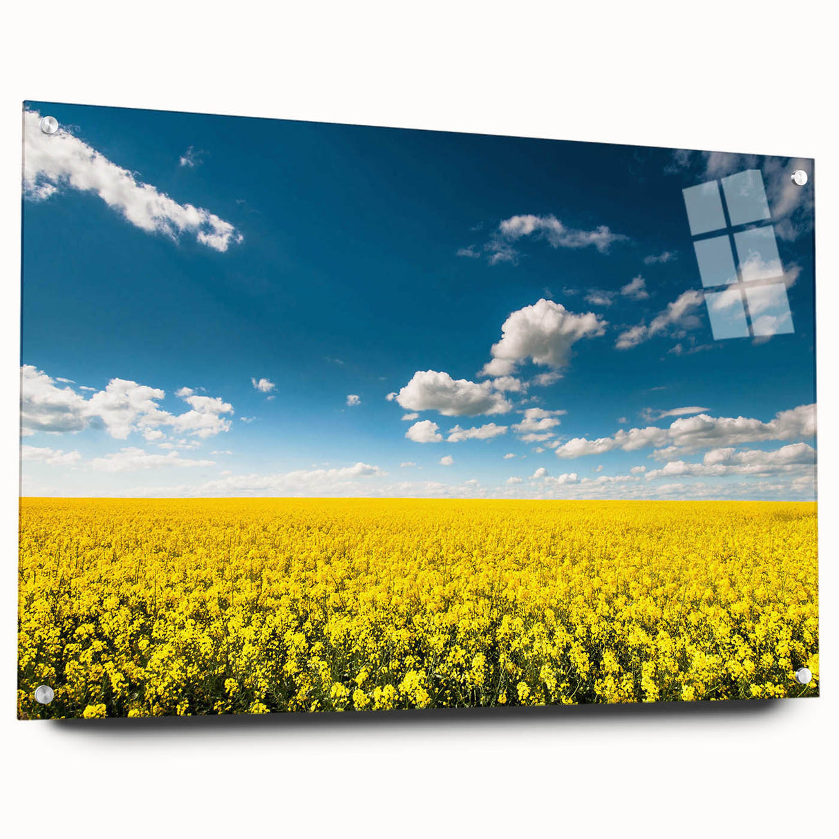 Acrylic glass wall art collection showcasing vibrant landscape fields design, elegantly displayed from the side, secured with decorative pins for a modern touch.