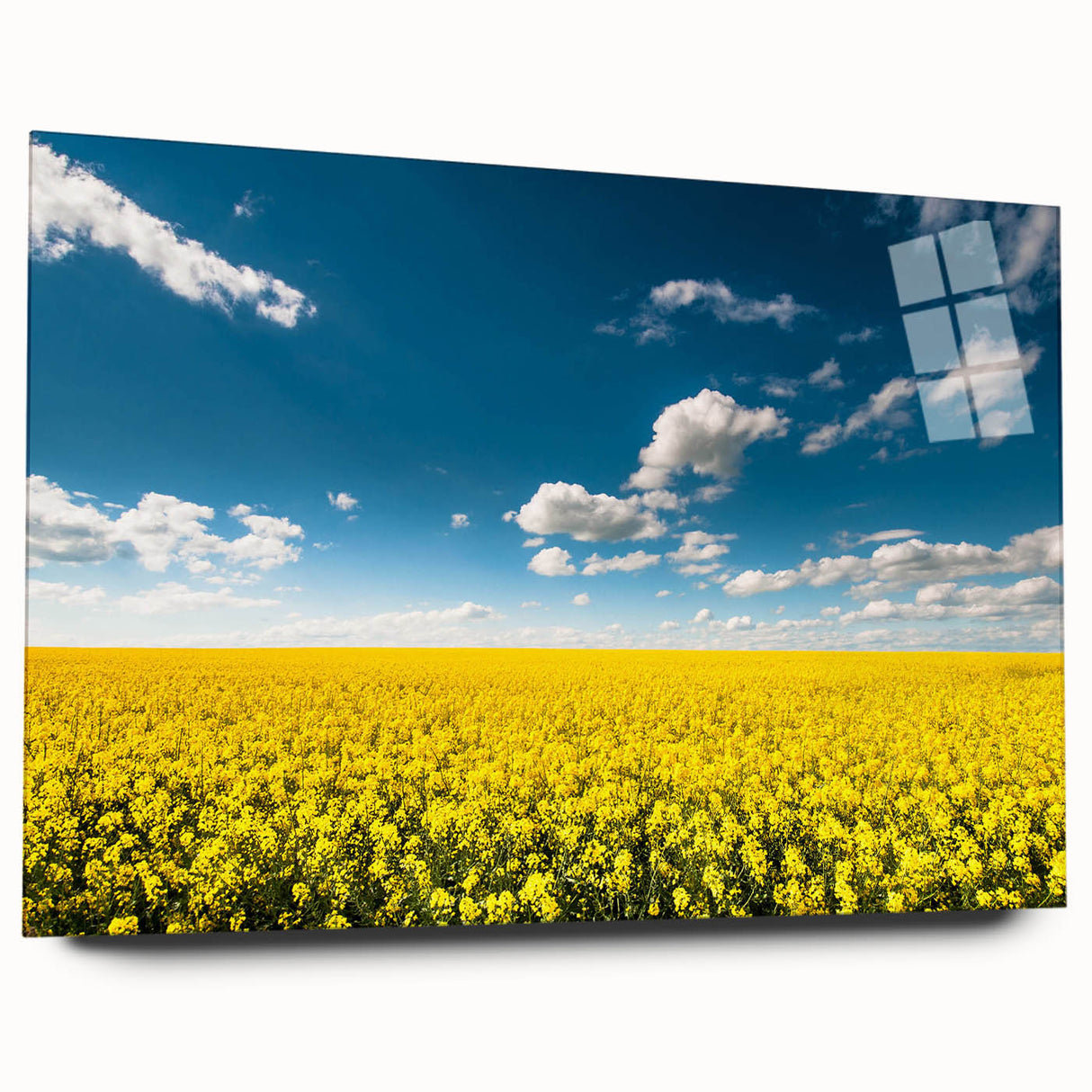 Vibrant acrylic wall art collection showcasing a serene landscape of rolling fields and blue skies, displayed without pins for a sleek, modern look.