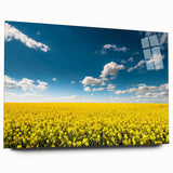Vibrant acrylic wall art collection showcasing a serene landscape of rolling fields and blue skies, displayed without pins for a sleek, modern look.