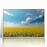 Framed wall art collection showcasing a vibrant landscape of fields, featuring rich colors and textures, designed to enhance modern home decor aesthetics.