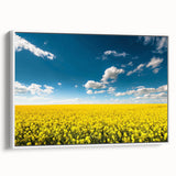 Framed wall art collection showcasing a serene landscape of golden fields under a clear blue sky, presented in a sleek white frame, perfect for home decor.