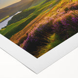 Stunning rolled canvas wall art featuring a vibrant landscape design with fields and rolling hills, perfect for home decor. The artwork showcases rich colors and textures, adding a serene atmosphere to any space.