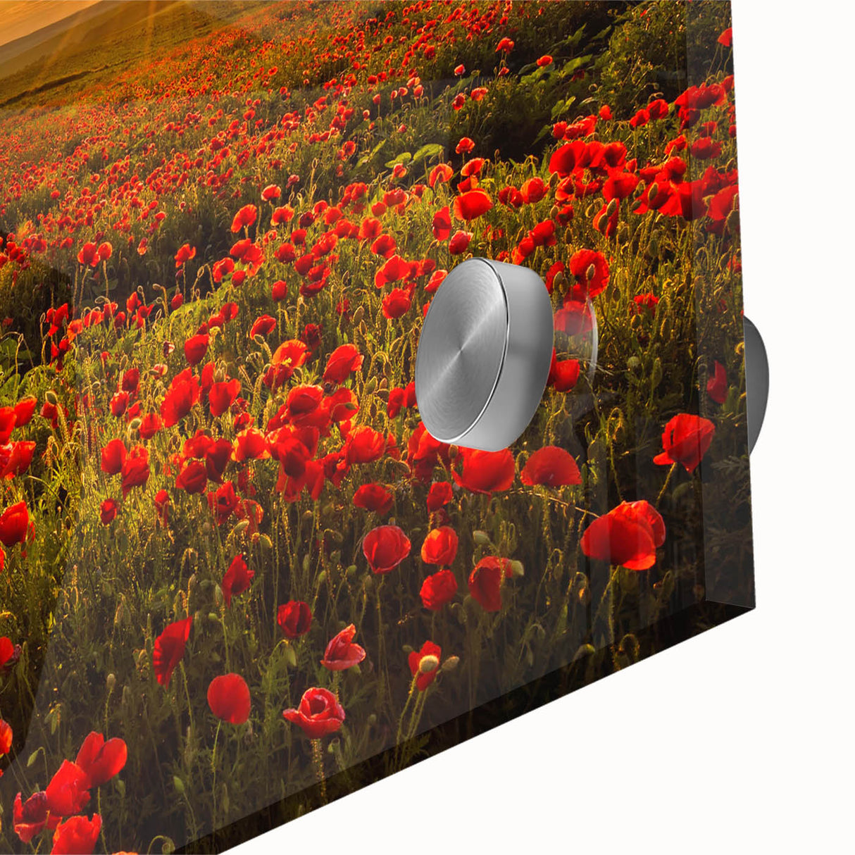 Vibrant close-up of a landscape wall art design showcasing lush green fields and rolling hills, printed on acrylic glass for a modern touch in home decor. Perfect for adding a fresh, nature-inspired aesthetic to any living space.