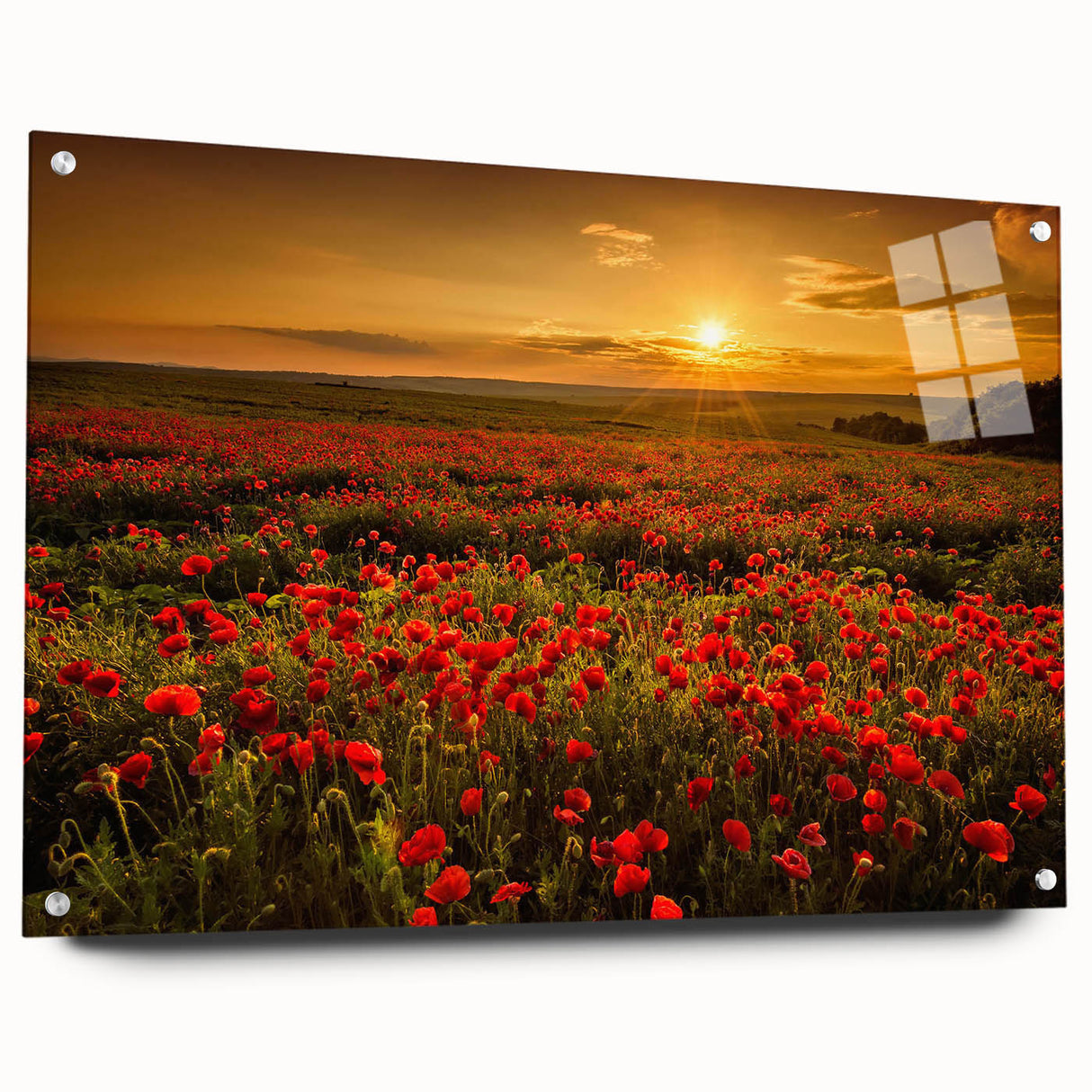 Acrylic glass wall art showcasing a vibrant landscape of fields in a chic design, featuring a side view with decorative pins, ideal for home decor enthusiasts.