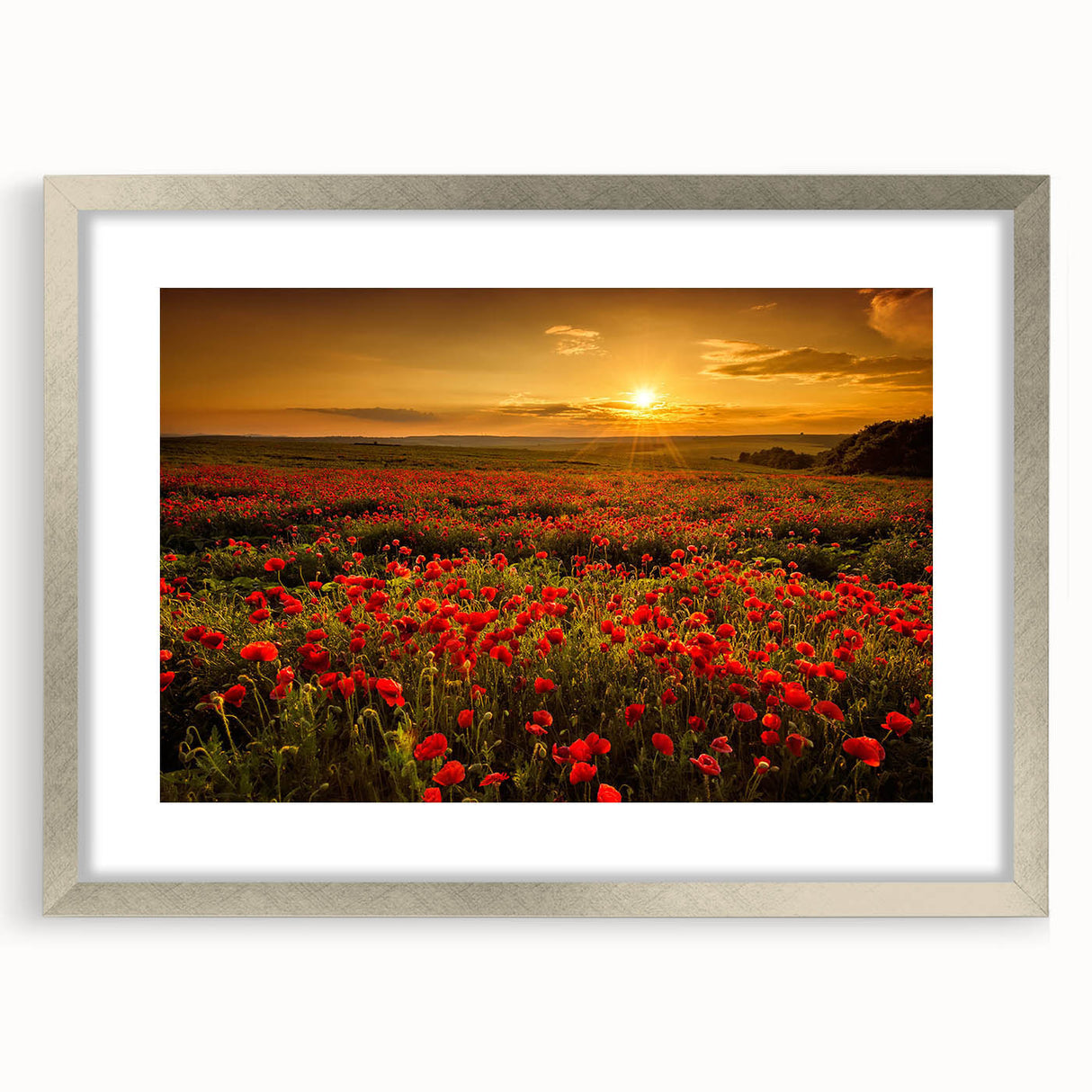 Framed wall art collection featuring a serene landscape design with fields in soft hues, accented by a sleek silver frame and white mat, perfect for home decor.