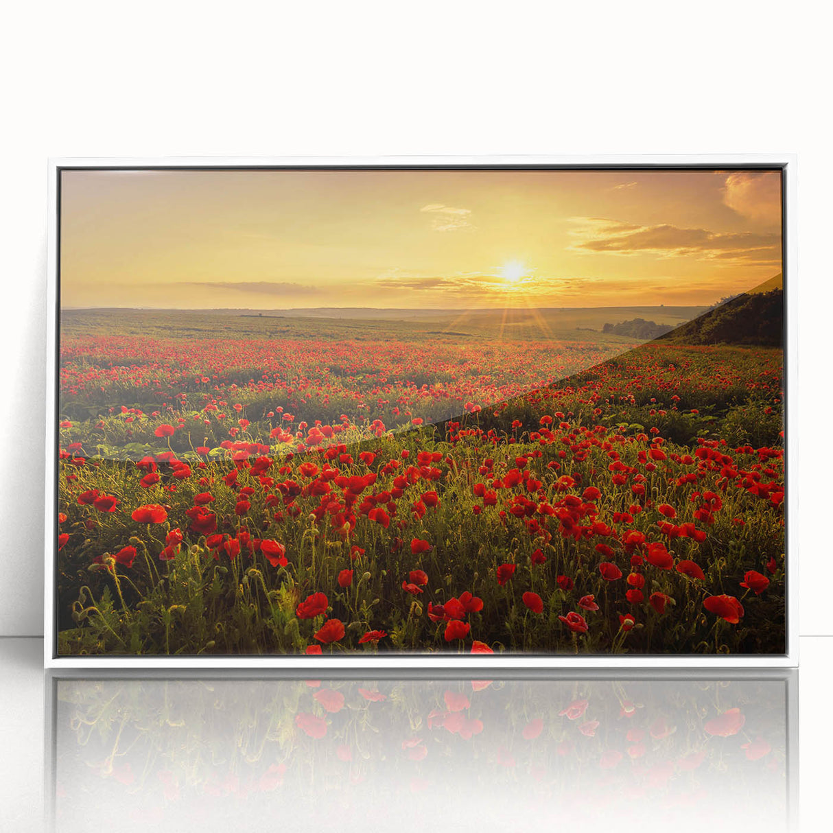 Framed wall art collection featuring a vibrant landscape design with fields, displayed in a sleek white frame, ideal for modern home decor.