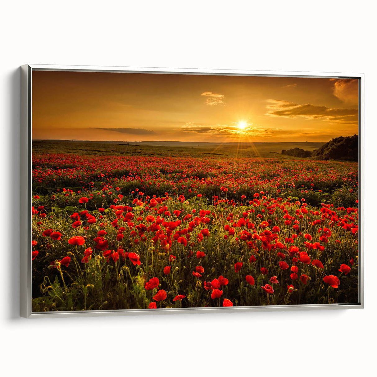 Framed canvas artwork showcasing a serene landscape of rolling fields in soft greens and golds, with a sleek silver frame, ideal for enhancing home decor.