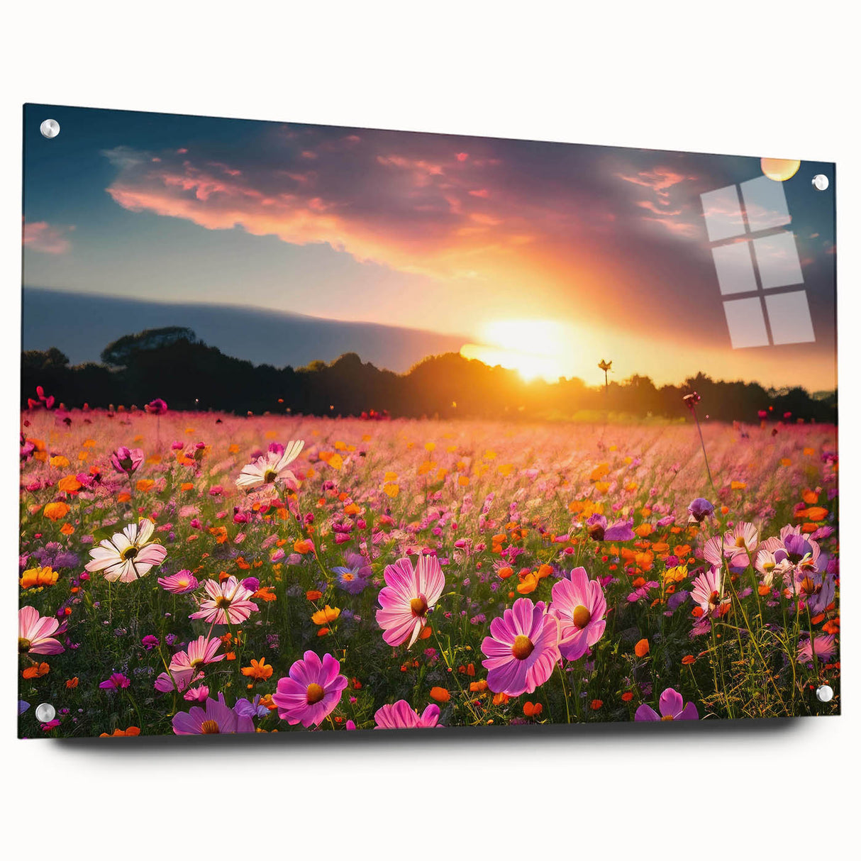 Acrylic glass wall art design showcasing vibrant fields landscape with a side view and decorative pins, perfect for modern home decor or office aesthetics.