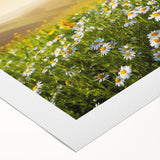 Vibrant rolled canvas artwork showcasing a serene landscape of rolling fields under a bright blue sky, ideal for home decor and interior design enthusiasts.