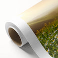 Rolled canvas wall art showcasing a vibrant landscape field design in warm tones, elegantly packaged in a protective cardboard tube for easy display.
