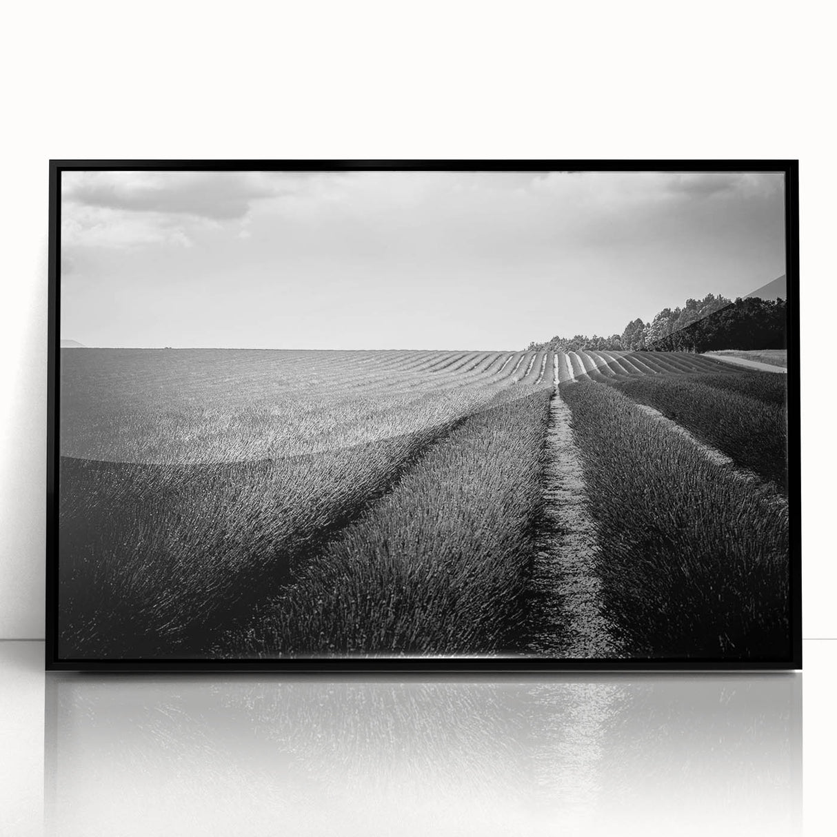 Framed acrylic wall art featuring a serene landscape of lush green fields under a clear blue sky, showcasing vibrant colors and depth with a sleek black frame. Perfect for modern home decor.