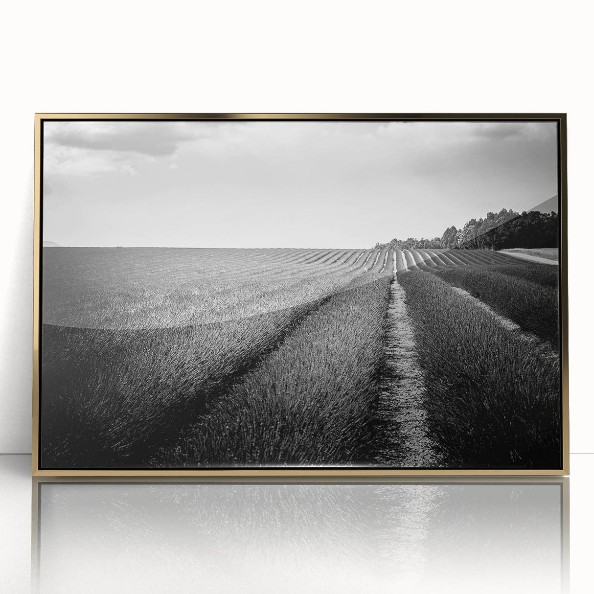 Framed wall art showcasing a vibrant landscape of golden fields under a blue sky, perfect for modern home decor. Ideal for elevating any living space.