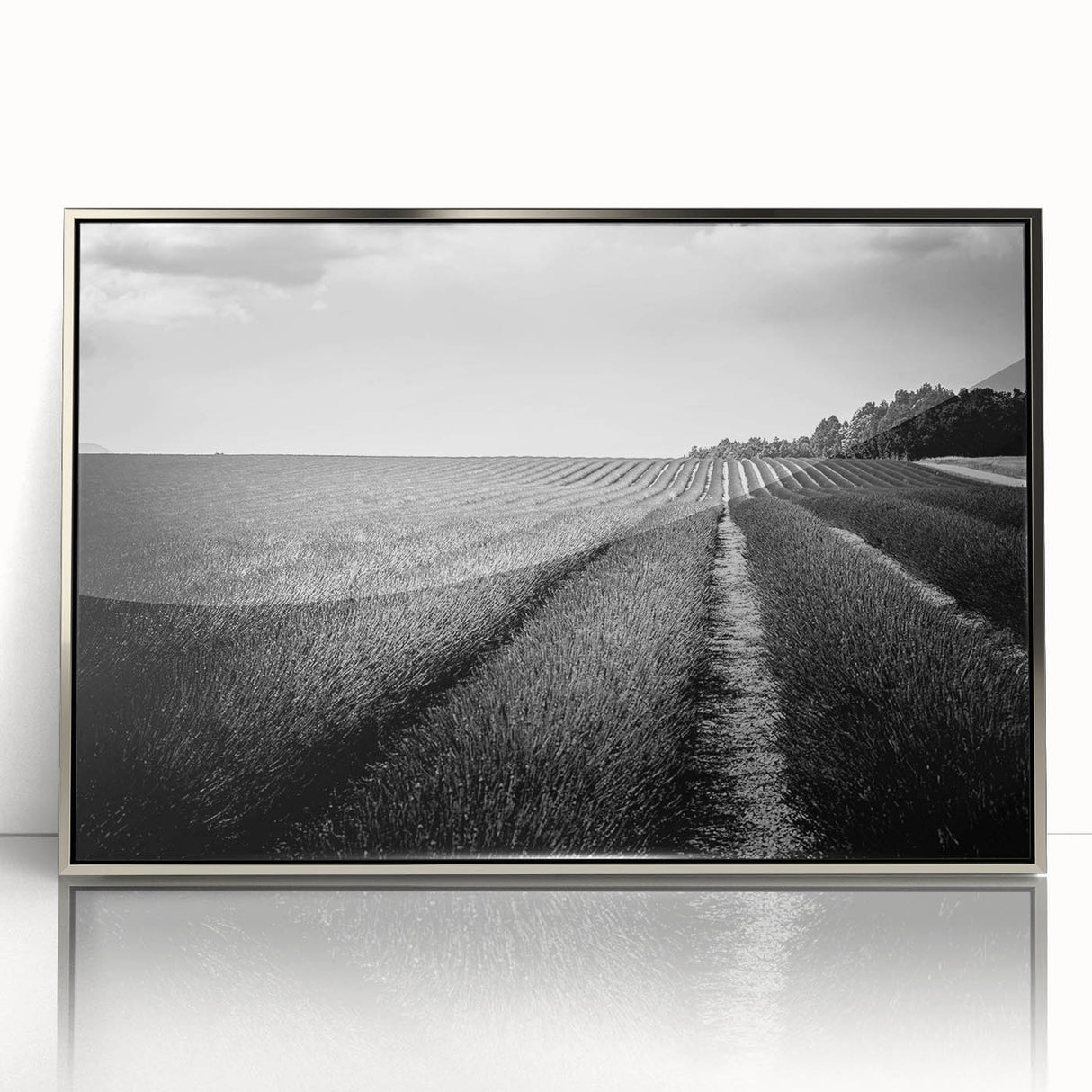 Framed acrylic wall art featuring a serene landscape of golden fields under a bright blue sky, designed to enhance modern home decor with elegance and tranquility.