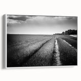 Framed canvas wall art showcasing a serene field landscape design, featuring vibrant green fields and a soft blue sky, perfect for modern home decor.