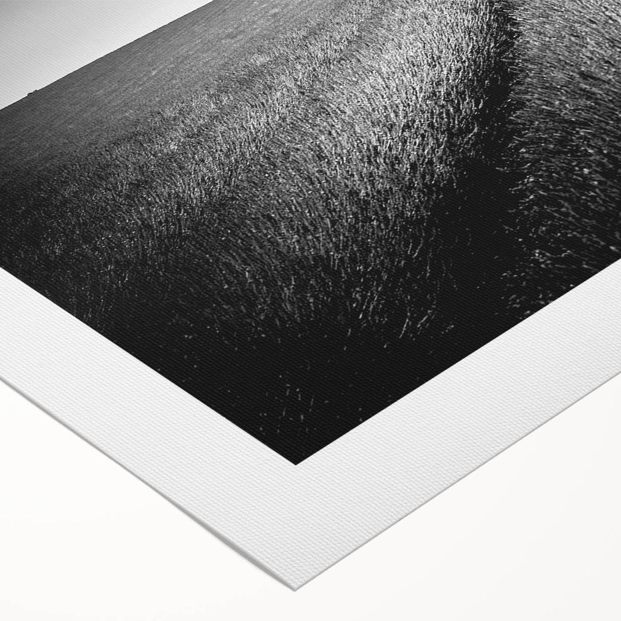 Stunning rolled canvas artwork showcasing a serene landscape of vibrant green fields under a clear blue sky, perfect for enhancing any living space or office decor.