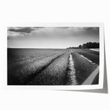 Vibrant rolled print showcasing a serene landscape of golden fields under a blue sky, perfect for home decor and wall art collections, emphasizing tranquility and nature.